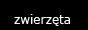 QR zwierzeta